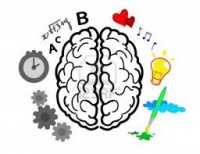 /album/fotogaleria-novedades/cerebro-logico-jpg/